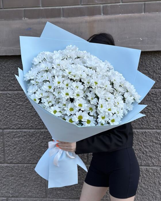 Ромашковое поле белое