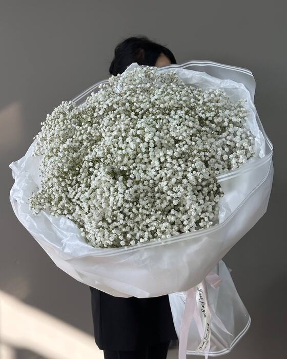 Букет из 25 белых гипсофил